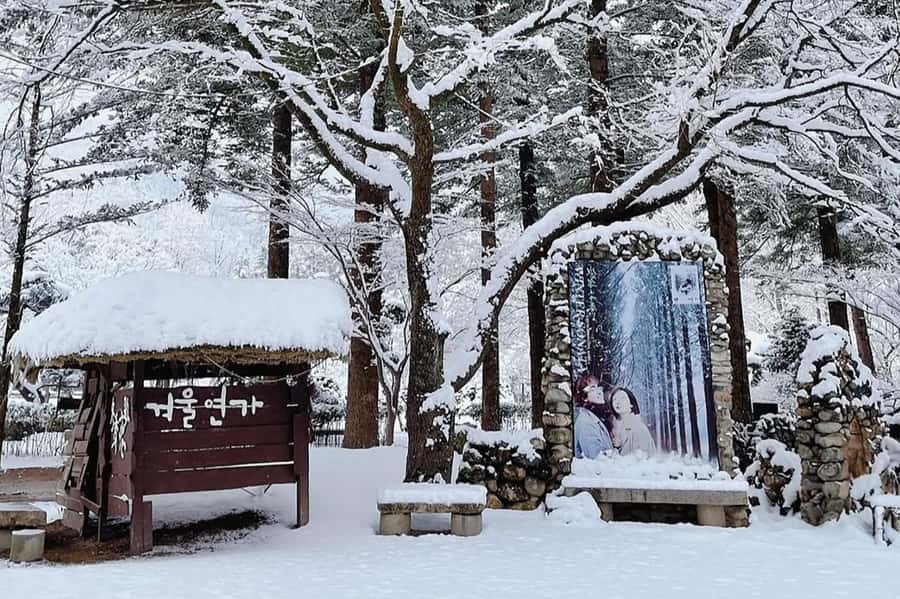 Seoul: Seorak Mountain+Nami Island+Eobi Ice Valley Tour - Who Will Enjoy This Winter Day Most