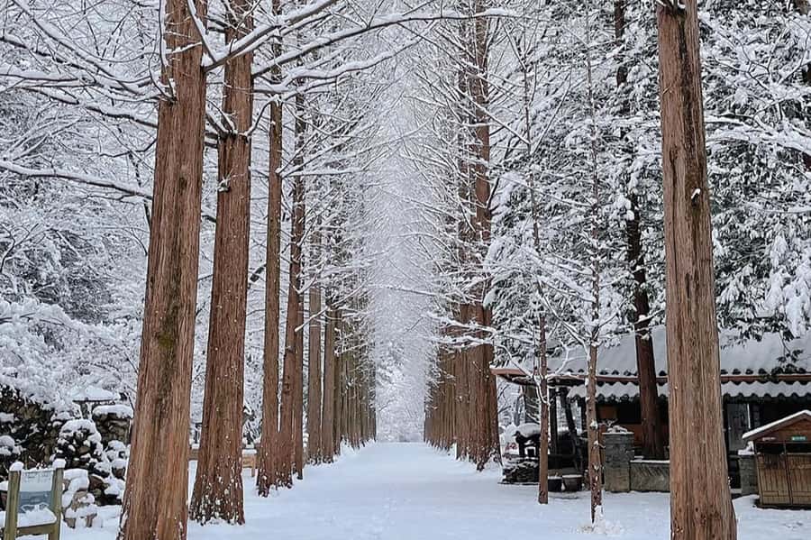 Seoul: Seorak Mountain+Nami Island+Eobi Ice Valley Tour - Practical Tips for a Smoother Day