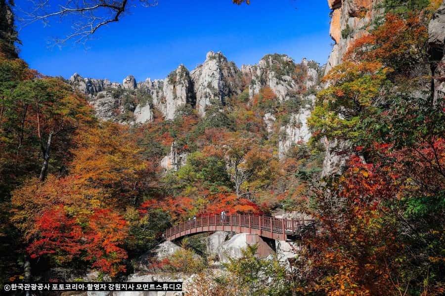 Seoul: Seorak Mountain+Nami Island+Eobi Ice Valley Tour - Should You Book This Tour?