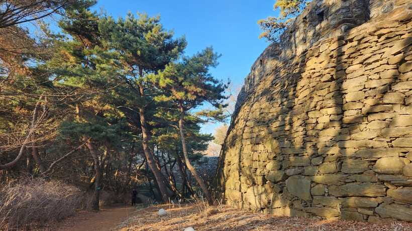 Seoul: Services of a Local for a Day (Paperwork/Tour/Fun) - Pickup, timing, and access