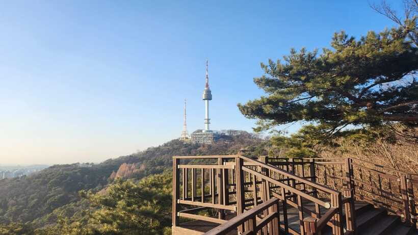 Seoul: Services of a Local for a Day (Paperwork/Tour/Fun) - Shopping, food, drinks, and everyday errands