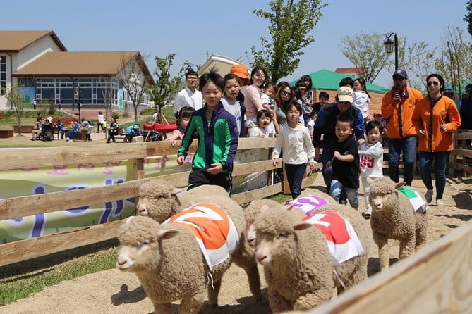 Seoul : Sindang-dong Occult Tour - Who will enjoy this unusual Seoul walk