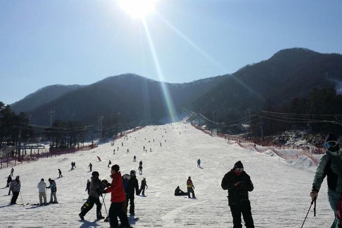 Seoul Ski Tour at Jisan Forest Resort - A useful first lesson for complete beginners