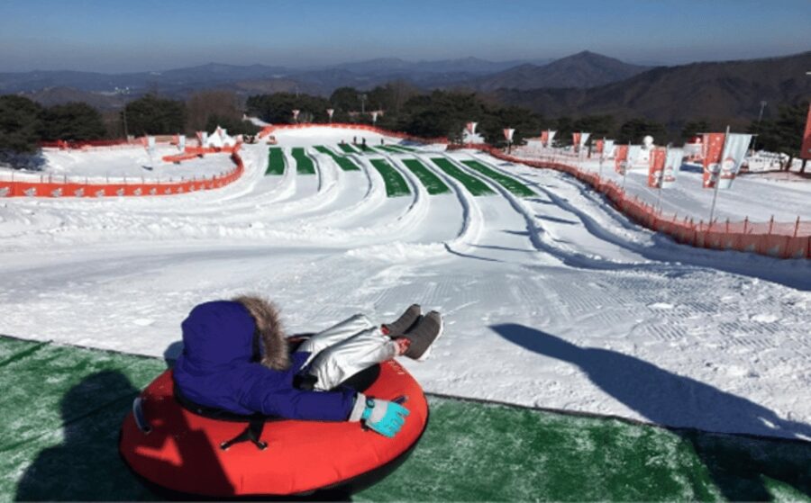 Seoul: SnowyLand in Vivaldi Park with Nami or Alpaca - The bus ride from Seoul to Gangwon Province