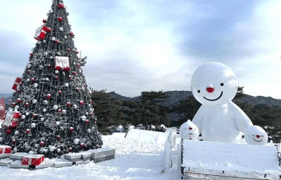 Seoul: SnowyLand in Vivaldi Park with Nami or Alpaca - Lunch is simple, local, and not included