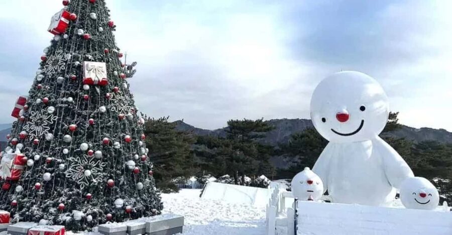 Seoul: SnowyLand in Vivaldi Park with Nami or Alpaca - Who will enjoy this winter day trip most
