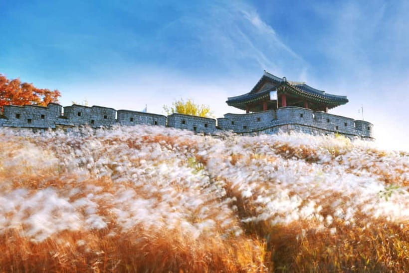 Seoul: Suwon Hwaseong Fortress & Korean Folk Village Tour - Guides make a major difference