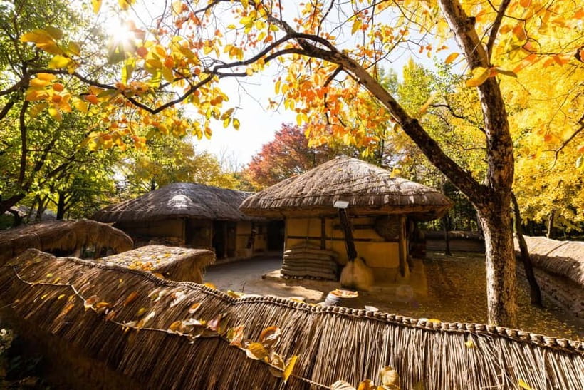 Seoul: Suwon Hwaseong Fortress & Korean Folk Village Tour - Should you book the Suwon and Folk Village tour?