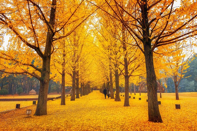 Seoul to/from Nami Island: Round trip Shuttle Bus Service - The 90-minute ride from Seoul to the island