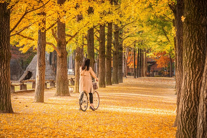 Seoul to/from Nami Island: Round trip Shuttle Bus Service - Five hours among Nami Island’s famous trees
