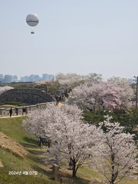Seoul: UNESCO Heritage Suwon Hwaseong Fortress, Folk Village - Who should book this day trip?