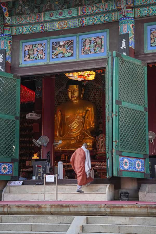 Seoul Vegan Delight: Temples, Teas & Treats Tour - What the guide adds to the experience