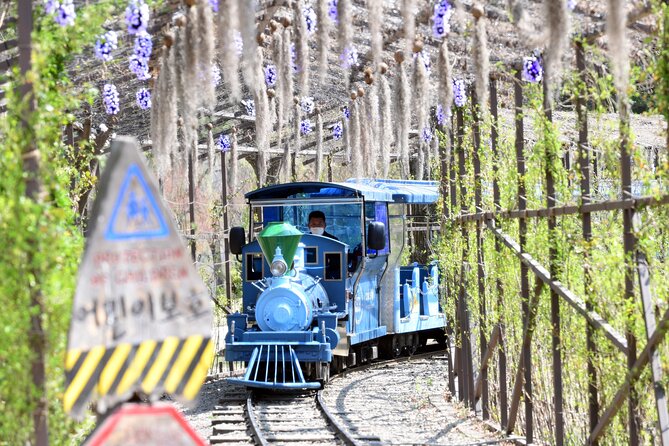 Seoul Vicinity 5 in 1: Nami Island, Garden of Morning Calm & More - Who will get the most from this day