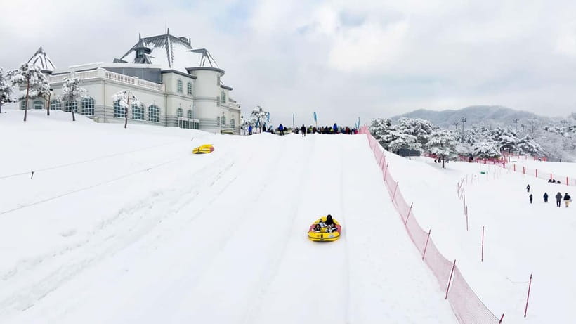 Seoul: Vivaldi Park Winter Ski with Nami Island Day Tour - Why this tour works for a winter day from Seoul