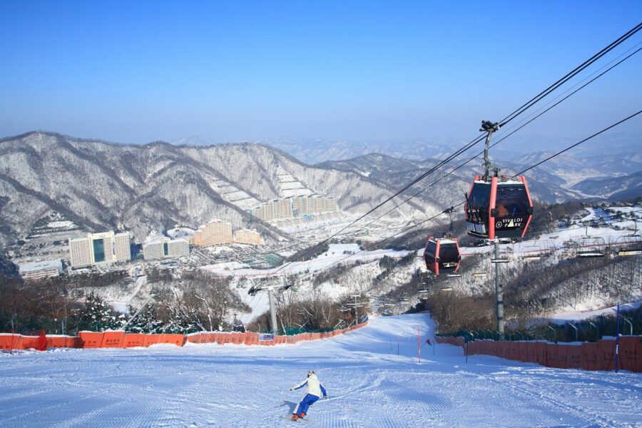 Seoul: Vivaldi Park Winter Ski with Nami Island Day Tour - Four ways to use your time at Vivaldi Park