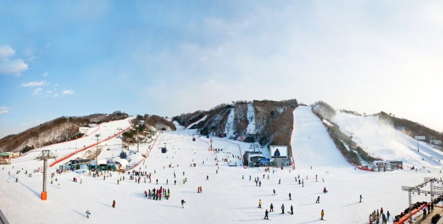 Seoul: Vivaldi Park Winter Ski with Nami Island Day Tour - What the one-hour ski lesson really gives you