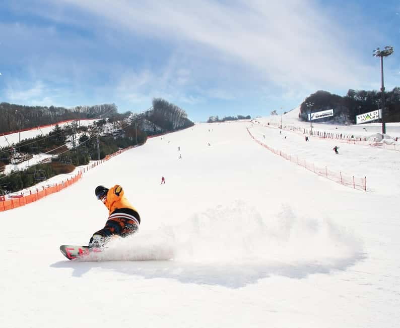 Seoul: Vivaldi Park Winter Ski with Nami Island Day Tour - The transfer to Nami Island