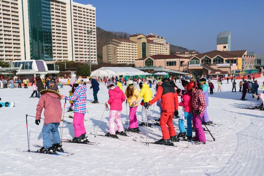Seoul: Vivaldi Park Winter Ski with Nami Island Day Tour - A long day, with a lot of driving