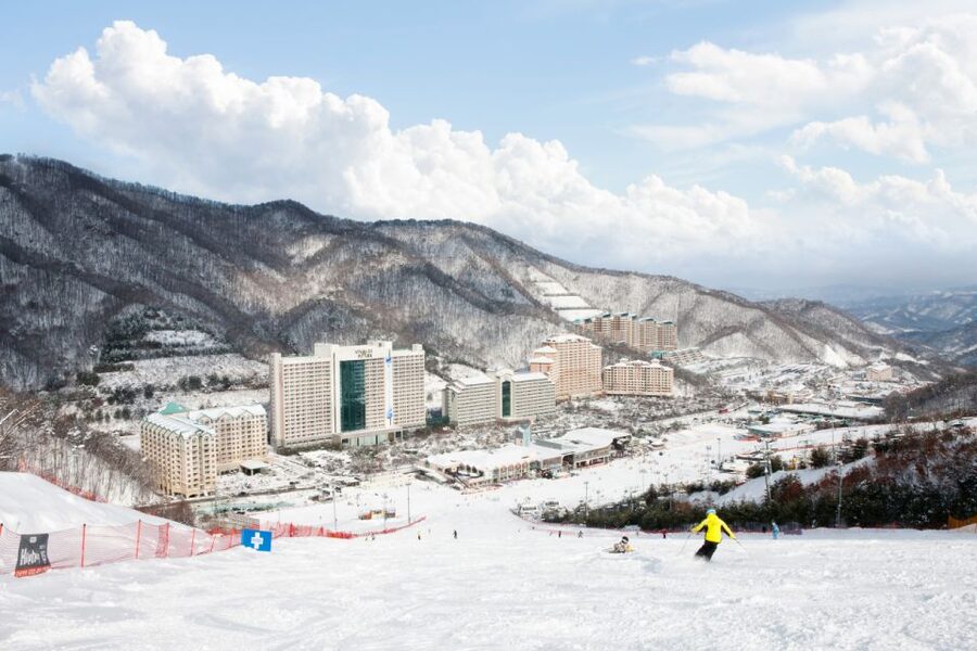 Seoul: Vivaldi Park Winter Ski with Nami Island Day Tour - What to pack and what costs extra