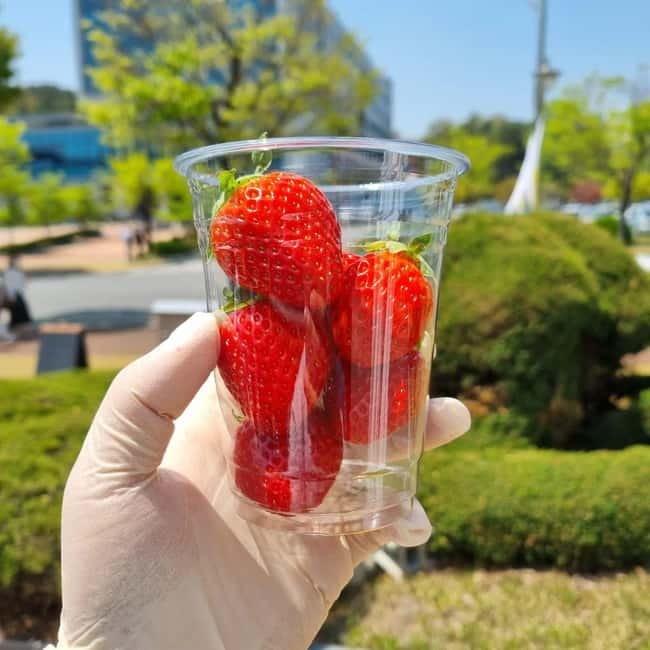 Seoul: Winter Day Tour in Pocheon (+Strawberry Picking) - Key details to know before you book