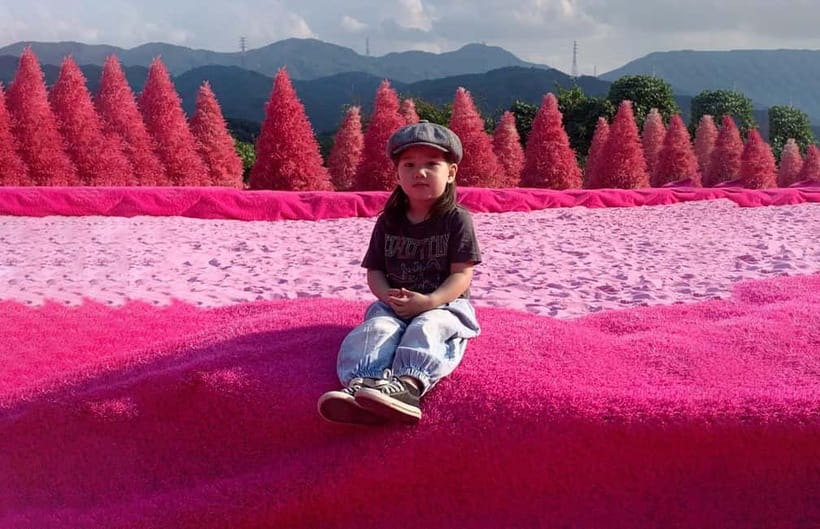 Seoul: Winter Day Tour in Pocheon (+Strawberry Picking) - Picking strawberries at Atal Strawberry Farm