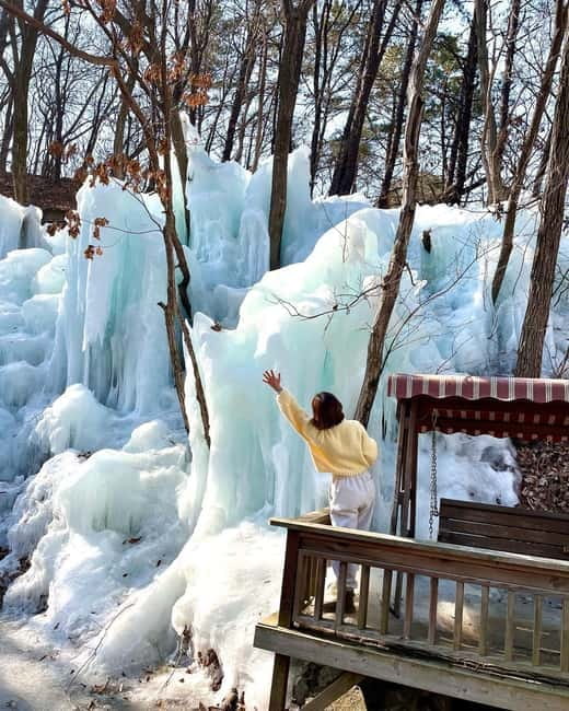 Seoul: Winter Day Tour in Pocheon (+Strawberry Picking) - How much value do you get for $62?