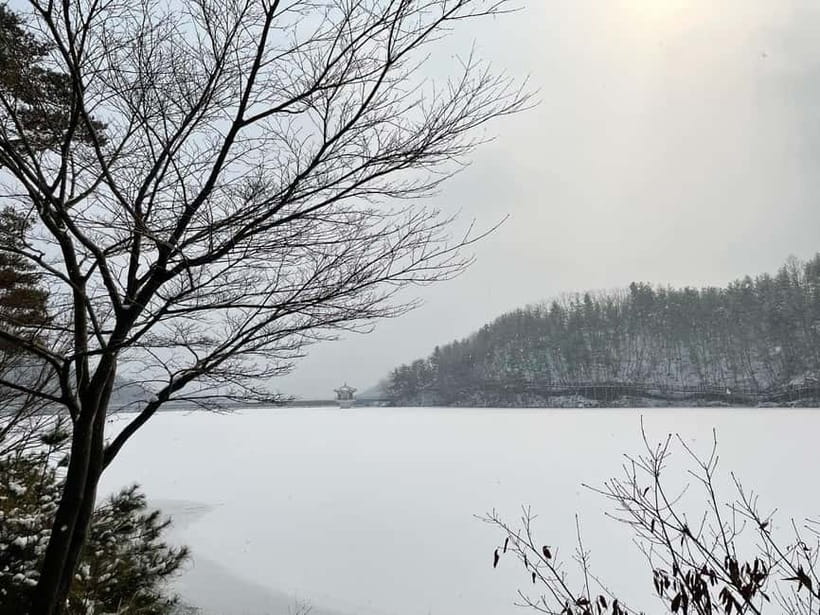 Seoul: Winter Day Tour in Pocheon (+Strawberry Picking) - Starting the day from Seoul