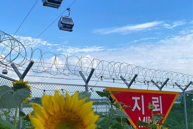 Signature DMZ Tour: Exclusive Defector Talk & Suspension Bridge - The less attractive parts of the day