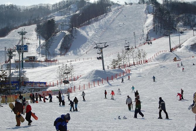 Ski Tour to Jisan Ski Resort from Seoul - Snow Slide fun for families