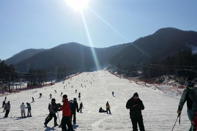 Ski Tour to Jisan Ski Resort from Seoul - Jisan or Yangji, chosen for the snow