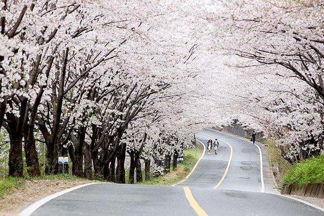Small Group 7D Korea package Tour with Seoul Gyeongju Busan Jeju - A fast but useful introduction to Korea