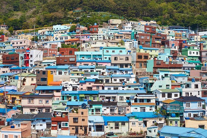 Small Group 7D Korea package Tour with Seoul Gyeongju Busan Jeju - Jeju Day 2: Hallasan, waterfalls, and light art