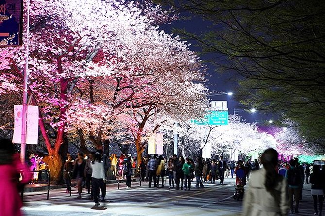 Small Group 7D Korea package Tour with Seoul Gyeongju Busan Jeju - Day 7: the DMZ and a final mountain view
