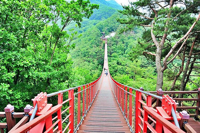 Small-Group DMZ Tour w/ North Korea Experience Hall & Susp.Bridge - Why this tour works better than a quick border photo stop