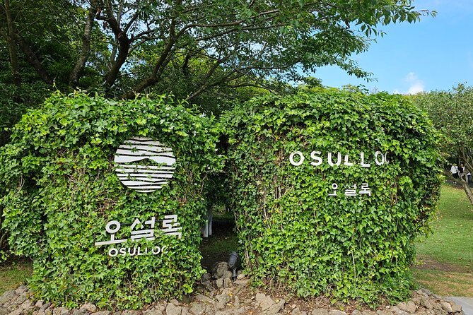 Small group Jeju private Full-Day Tour of East and South and West - Why this private Jeju tour makes sense