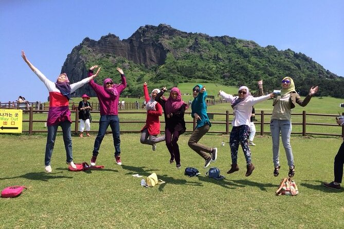 Small group Private Taxi Tour DAY experience in Jeju island - The driver experience and language question