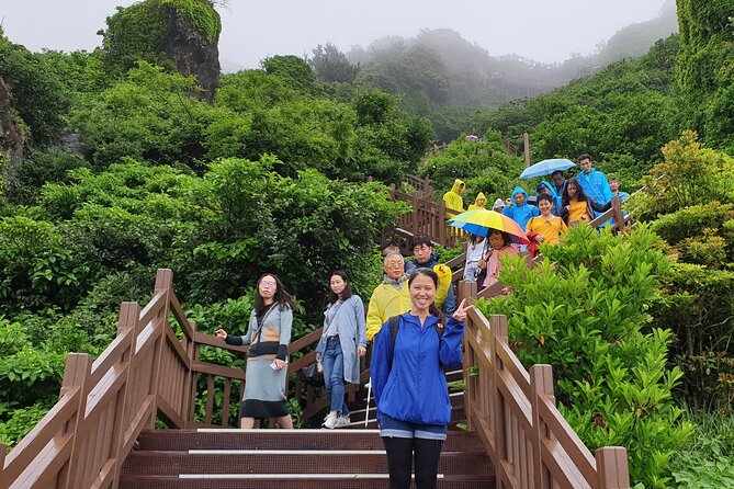 Small group Private Taxi Tour DAY experience in Jeju island - Who should book this Jeju taxi tour?