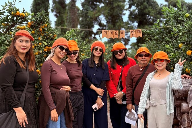 Small Group Tour for Jeju Fall Pink Muhly, Tangerines & Mt. Halla - Why this Jeju day works best in autumn