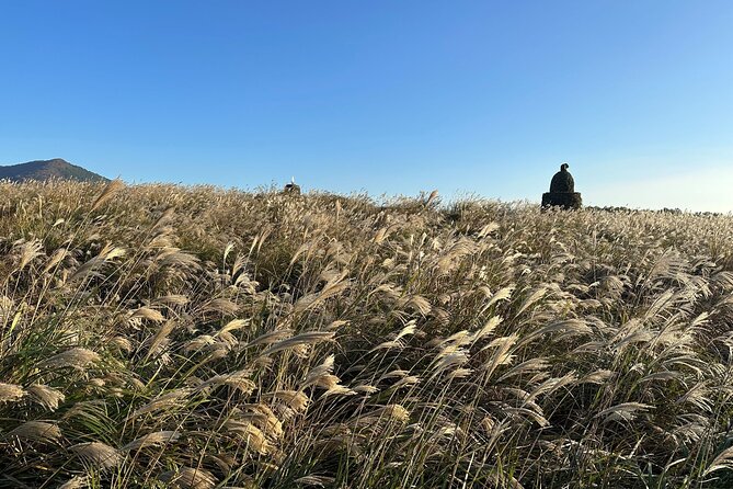 Small Group Tour for Jeju Fall Pink Muhly, Tangerines & Mt. Halla - Jusangjeolli Cliff brings volcanic force to the coast