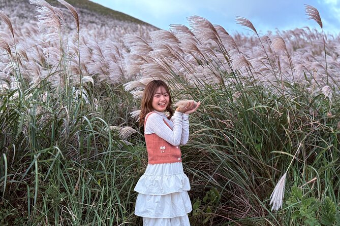 Small Group Tour for Jeju Fall Pink Muhly, Tangerines & Mt. Halla - Cheonjeyeon Falls gives you a forest walk