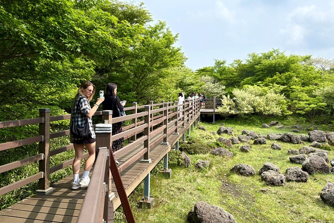 Small Group Tour for Jeju Fall Pink Muhly, Tangerines & Mt. Halla - Tangerine picking is the day’s most personal stop