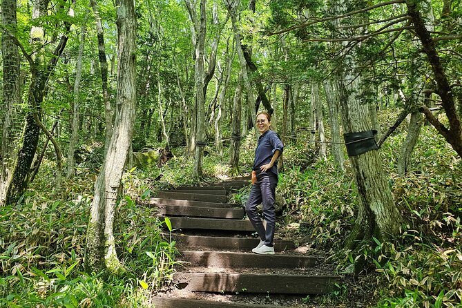Small group tour FULL - PACKAGE Tour to All Areas in Jeju Island - Jusangjeolli shows Jeju’s volcanic geometry