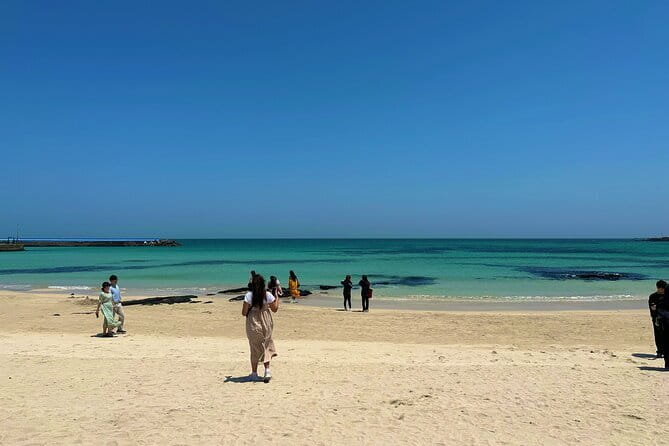 Small Group Tour in East Jeju Healing Island w/Woman Divers Show - A tangerine café closes the route on a sweet note