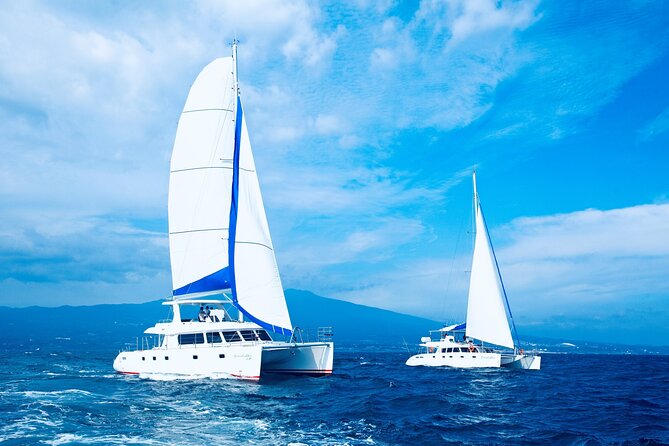 Small Group Tour in South Jeju including Yacht, Falls & Mt.Halla - Key points at a glance