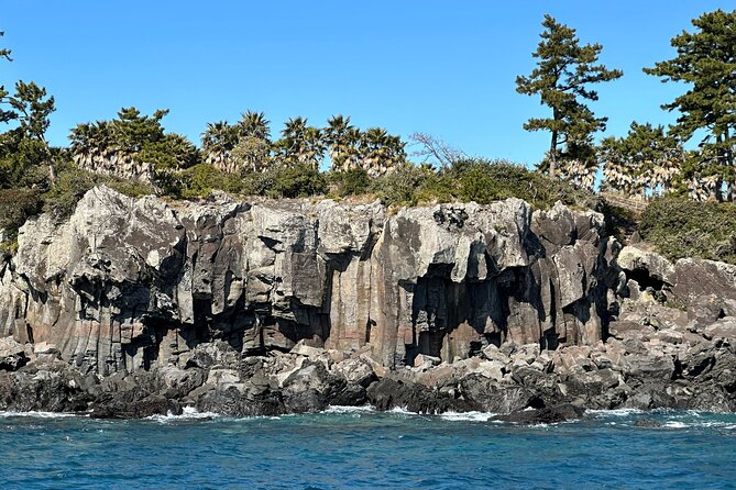 Small Group Tour in South Jeju including Yacht, Falls & Mt.Halla - 1100 Altitude Wetland and Mt. Halla air
