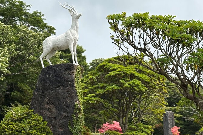 Small Group Tour in South Jeju including Yacht, Falls & Mt.Halla - Seogwipo lunch with local choices