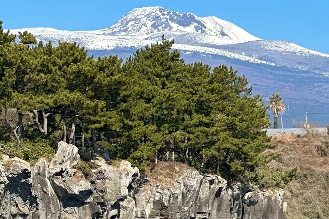 Small Group Tour in South Jeju including Yacht, Falls & Mt.Halla - A one-hour yacht cruise past Jusangjeolli