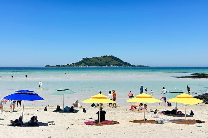 Small Group Tour in West Jeju Healing Island w/Caves & Dolphins - Key Points to Know Before You Book