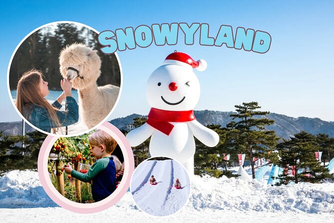 Snowyland, Strawberry Picking & Alpaca World - The best parts at a glance