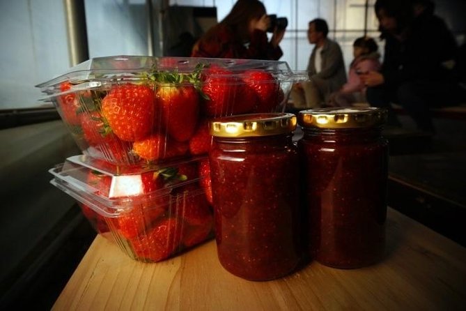 Snowyland, Strawberry Picking & Alpaca World - Who will enjoy this most